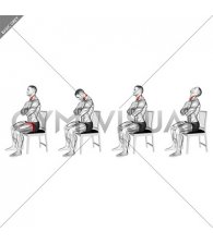 Seated Neck Flexion to Extension on Chair (male)