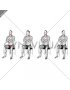 Seated Side to Side Neck Twist on Chair (male)
