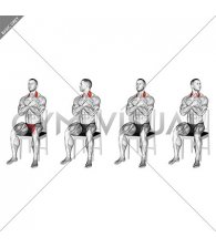 Seated Side to Side Neck Twist on Chair (male)