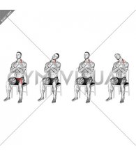 Seated Side to Side Neck Bend on Chair (male)
