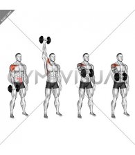 Dumbbell Full Front Raise Catch (male)