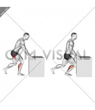 Knee to Box Calf Stretch (male)