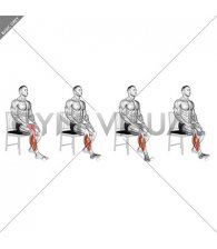 Seated Pronation Supination Foot (male)