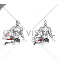 90 to 90 Press Stretch (male)