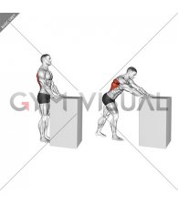 Walkout Lat Stretch (male)