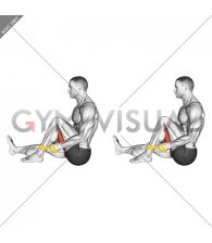 Resistance Band Seated Single Leg Hugging Knee Flexion (male)
