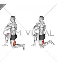 Half Kneeling Hamstrings Stretch (male)