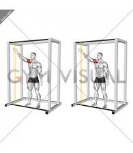 Resistance Band Lateral Hit (male)