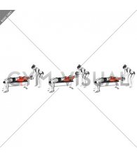 Medicine Ball Pullover Catch (male)