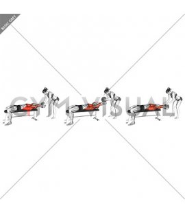 Medicine Ball Pullover Catch (male)