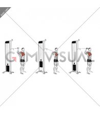 Cable 90 degrees Internal Rotation Catch (male)