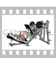 Sled 45° Leg Press