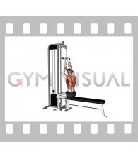 Cable Close-Grip Front Lat Pulldown