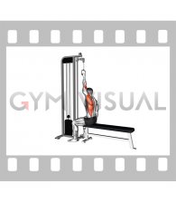 Cable one arm lat pulldown