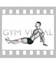 Seated Single Leg Tibialis Press (male)