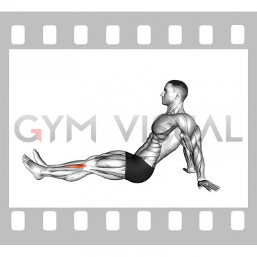 Seated Single Leg Tibialis Press (male)