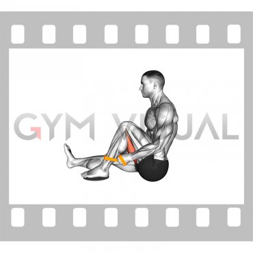 Resistance Band Seated Single Leg Hugging Knee Flexion (male)