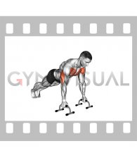 Push-up (With push-up handles)