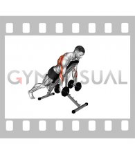 Dumbbell Prone Incline Seal Row