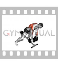Dumbbell Prone Incline Flexion Row