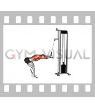 Cable Lat Prayers (rope attachment)