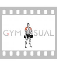 Dumbbell Super Rom Lateral Raise (male)