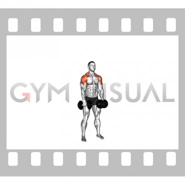 Dumbbell Super Rom Lateral Raise (male)
