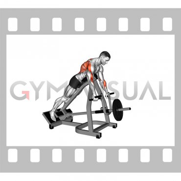 Lever Incline Prone Row (male)
