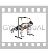 Resistance Band Explosive Push-up (male)