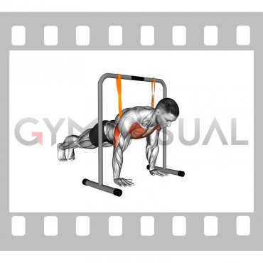 Resistance Band Explosive Push-up (male)