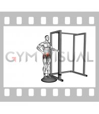 Band Standing on Bosu Ball Single Leg Abduction (male)