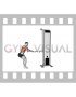 Cable Standing Single Arm Reverse grip Row (male)