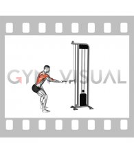 Cable Standing Single Arm Reverse grip Row (male)