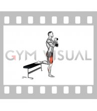 Dumbbell Goblet Glute Dominant Bulgarian Split Squat (male)