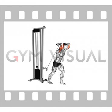 Cable Overhead Triceps Extension Straight Bar (male)