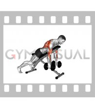 Dumbbell Prone Incline Seal Row