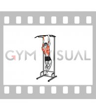 Resistance Band Assisted Single Arm Pull-up (male)