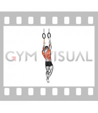 Ring Resistance Band Assisted Single Arm Pull-up (male)