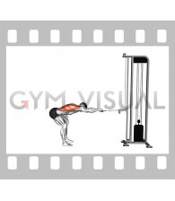 Cable Bent Over Single Arm Horizontal Row (male)