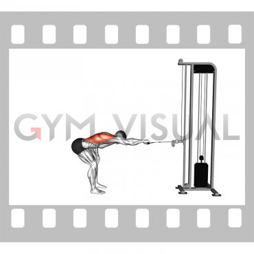Cable Bent Over Single Arm Horizontal Row (male)
