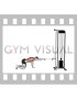 Cable Kneeling Single Arm Horizontal Row (male)
