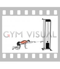 Cable Kneeling Single Arm Horizontal Row (male)