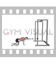 Band Kneeling Single Arm Horizontal Row (male)