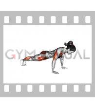 Push-up Jack (female)