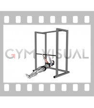 Brachialis Narrow Pull-up (female)
