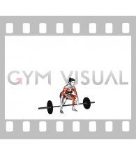 Power Clean Thruster (female)