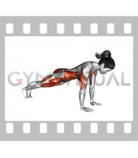 Front Plank to Toe Tap (female)