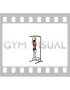 Muscle-up (on vertical bar) (female)