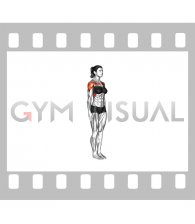 Shoulder - Flexion (female) 