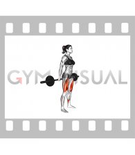 Barbell Hack Squat (female)